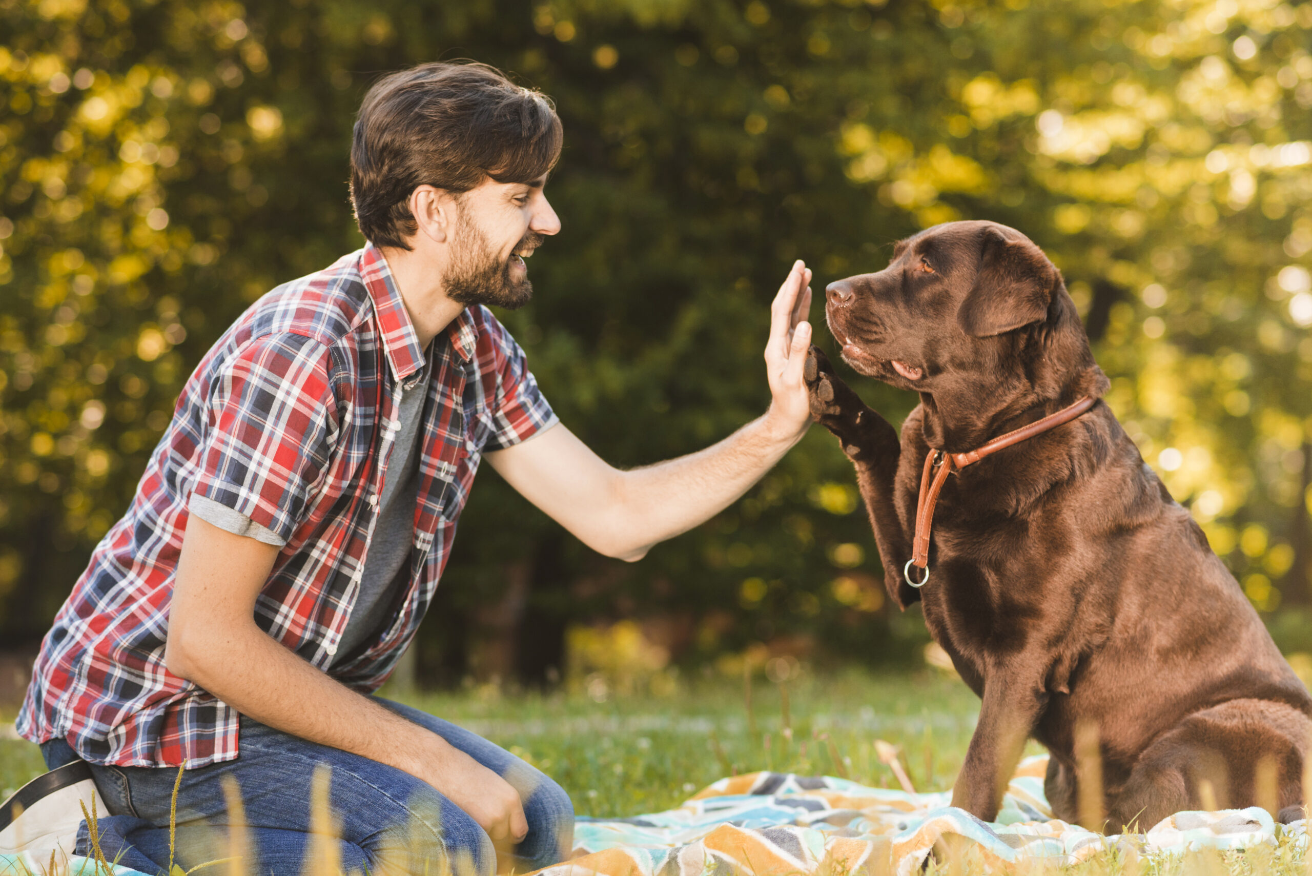 side-view-man-giving-high-five-his-dog-garden